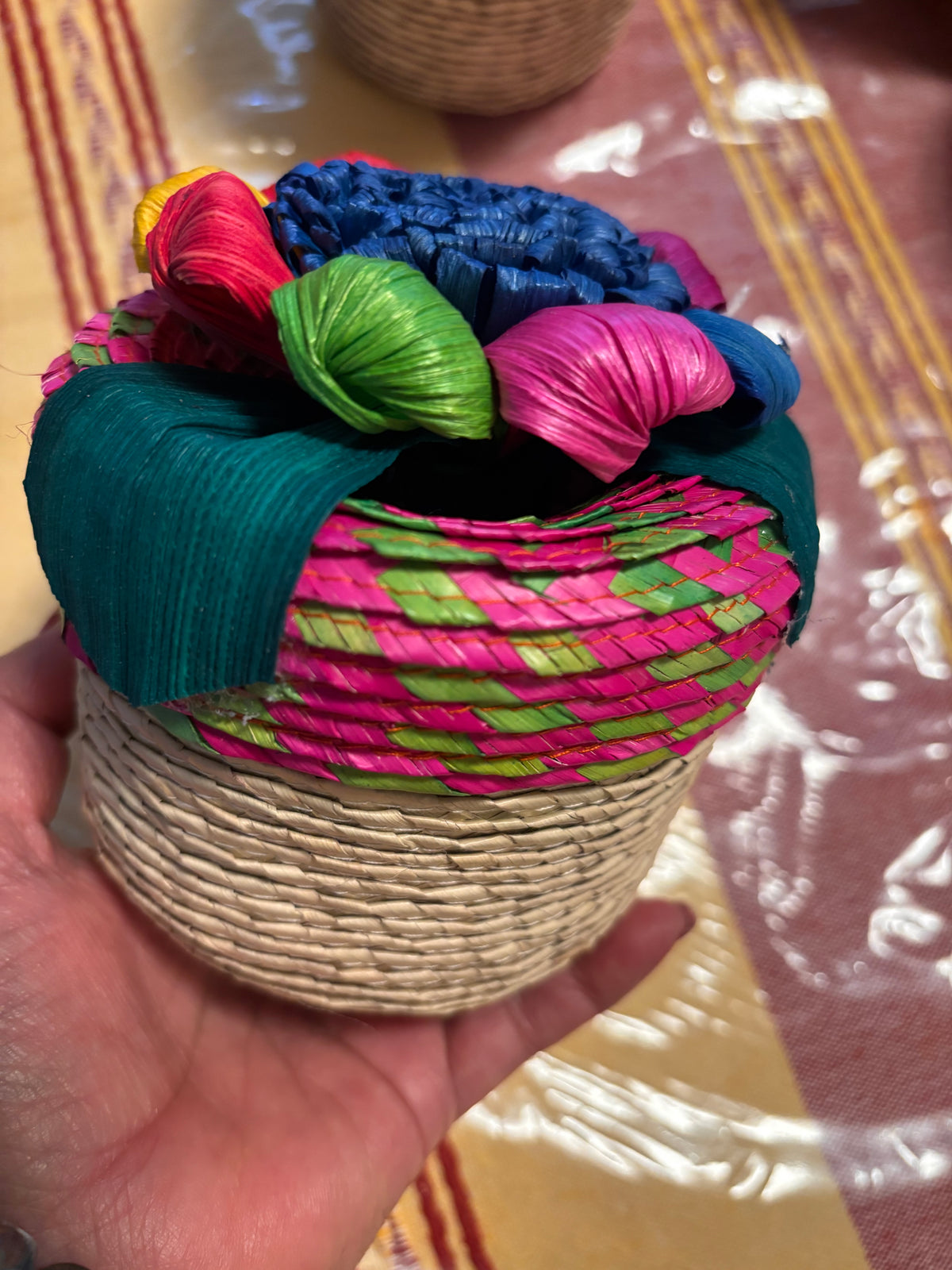 Alajeros De Palma Oaxaqueños