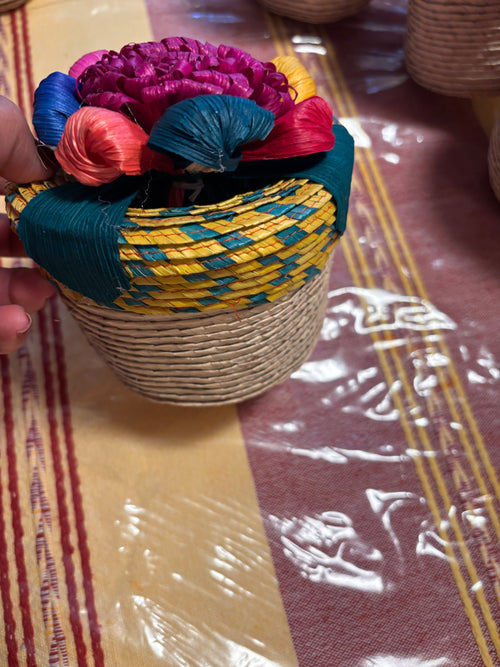 Alajeros De Palma Oaxaqueños
