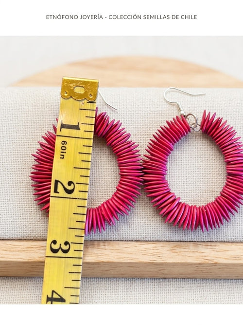 Aretes De Semillas De Melón Oaxaqueños ~ Modelo Único